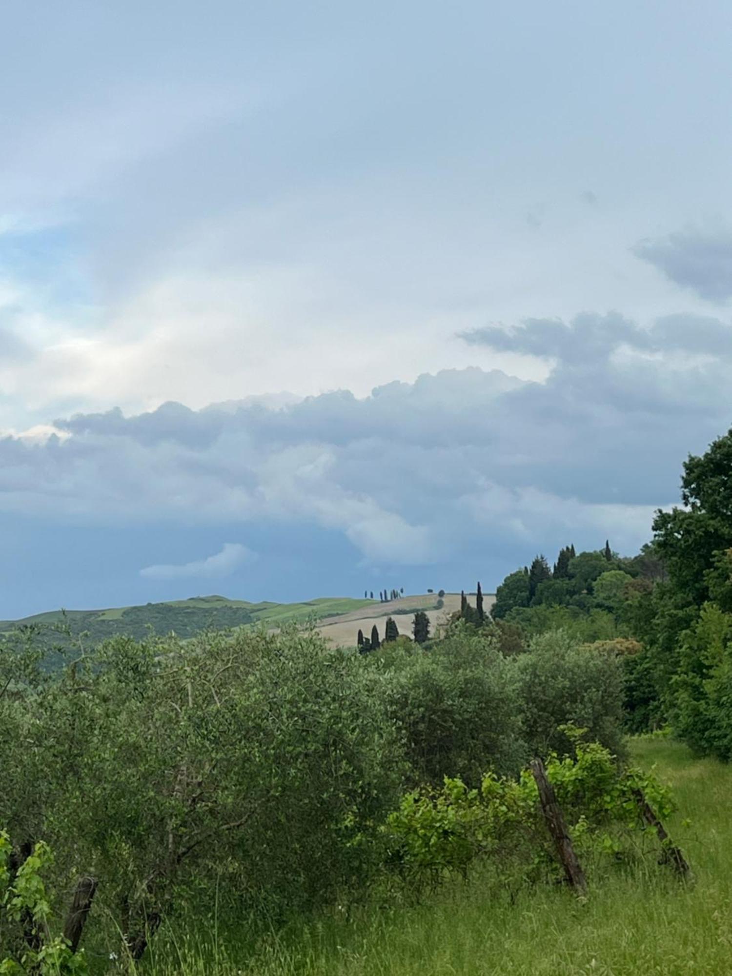 Agriturismo Podere Cortilla Volterra Exterior photo